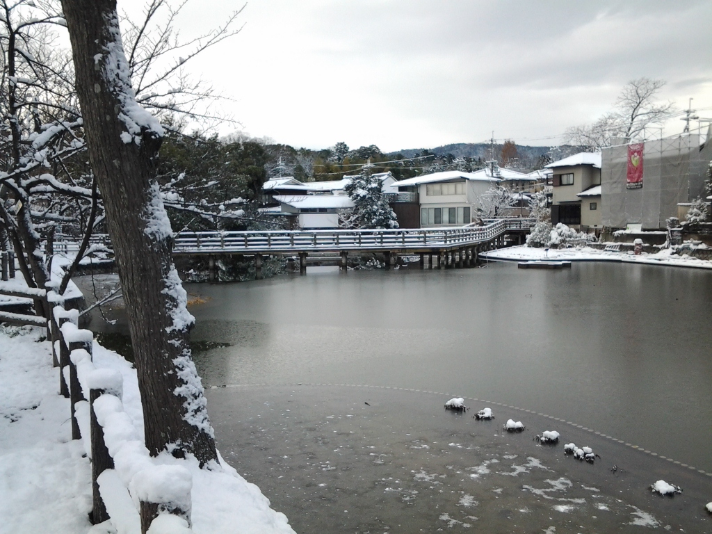 20150102_長岡天満宮　八条ヶ池